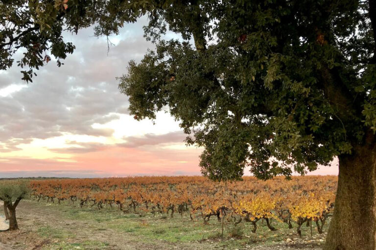 Le Domaine Mas De La Barben 